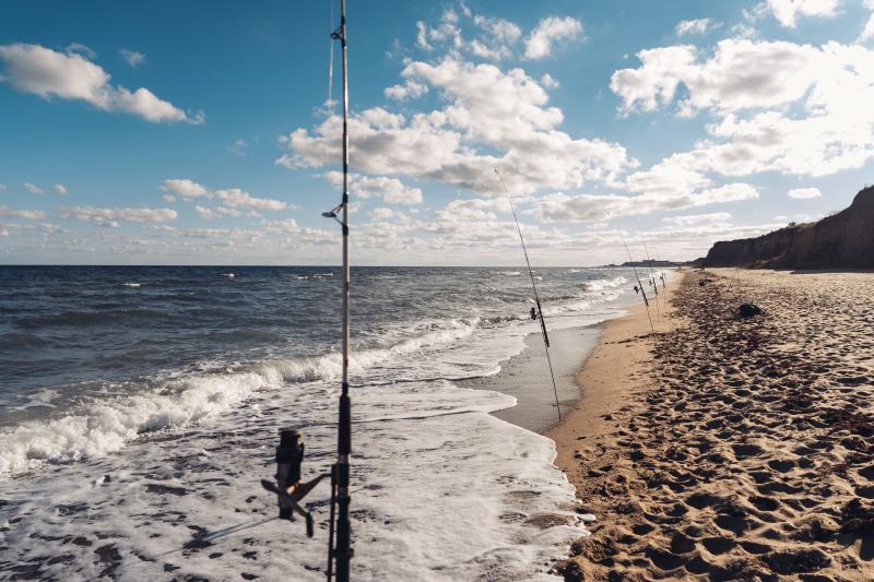Fishing rods set up along the sandy Gulf Coast shoreline with waves washing in, under a blue sky with scattered clouds. Ideal scene for Fishing Guides ThunderontheGulf.